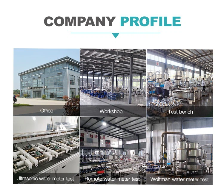 Company Profile Company Profile