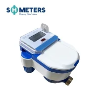 STS מד מים מראש פליז גוף R160 לאפריקה