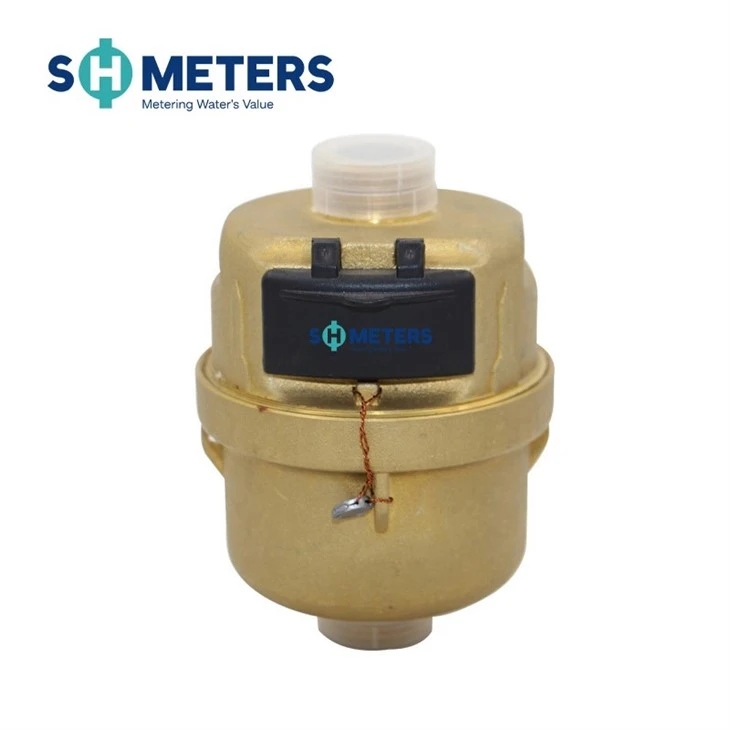 Volumetric Water Meter With Brass Body R160 DN15~40mm high quality